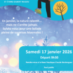 Balade nature - sur le thème de l'hiver