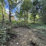 Chantier participatif : réalisation de haies sèches