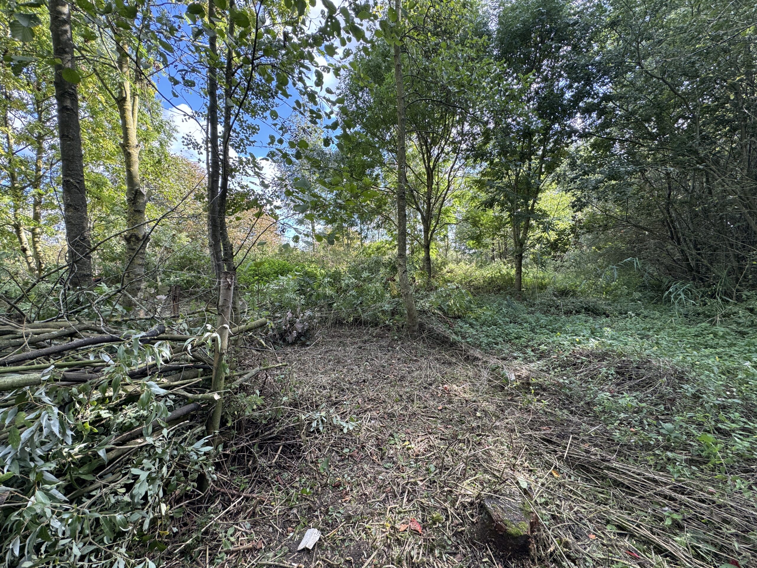 Chantier participatif : réalisation de haies sèches