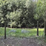 Exposition, conférence et quiz sur la vie sauvage