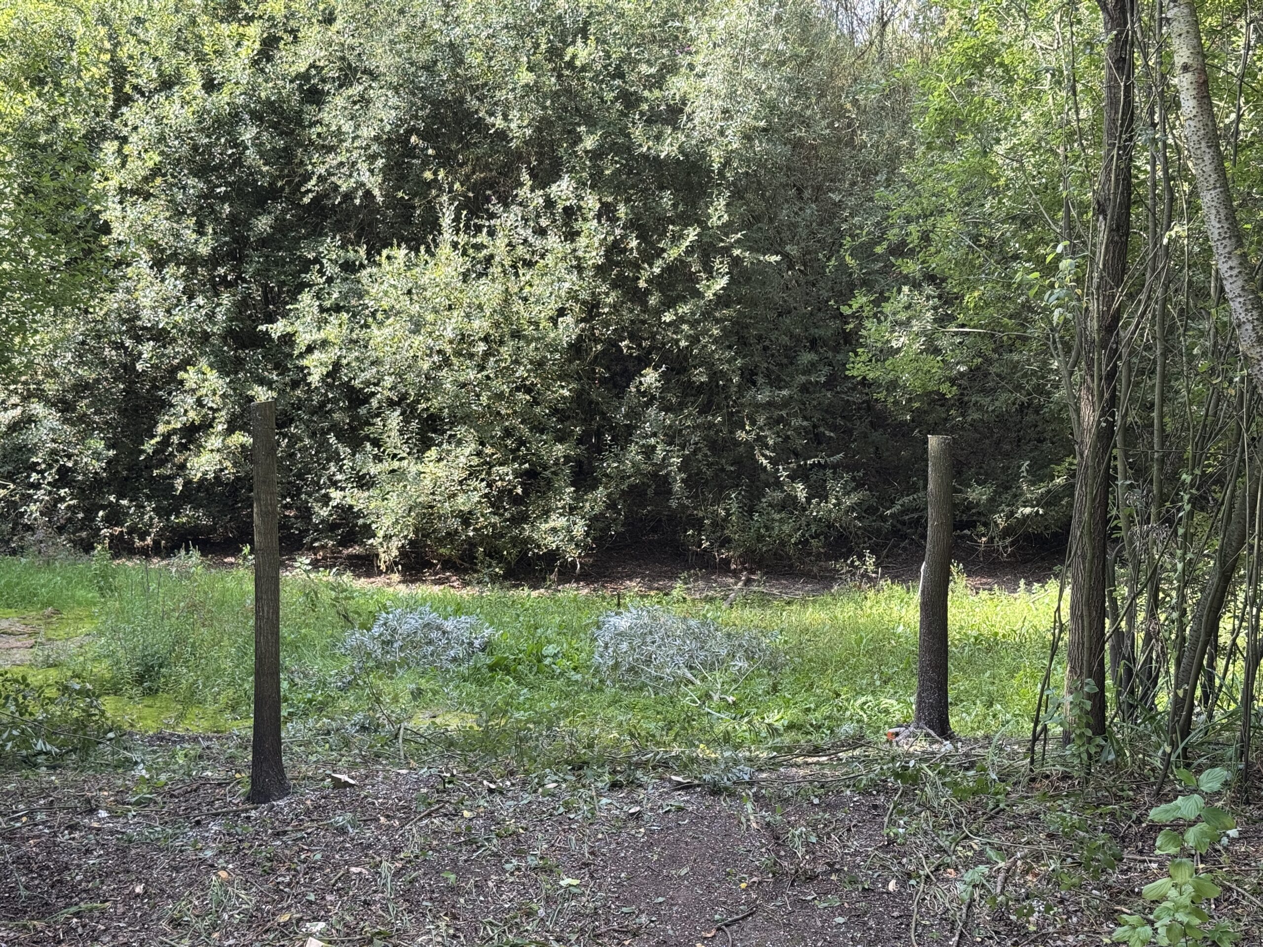 Exposition, conférence et quiz sur la vie sauvage