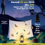 Sortie nature Crépuscule et Nuit