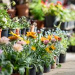 Marché aux Fleurs, brocante et marché des Créateurs Artisans