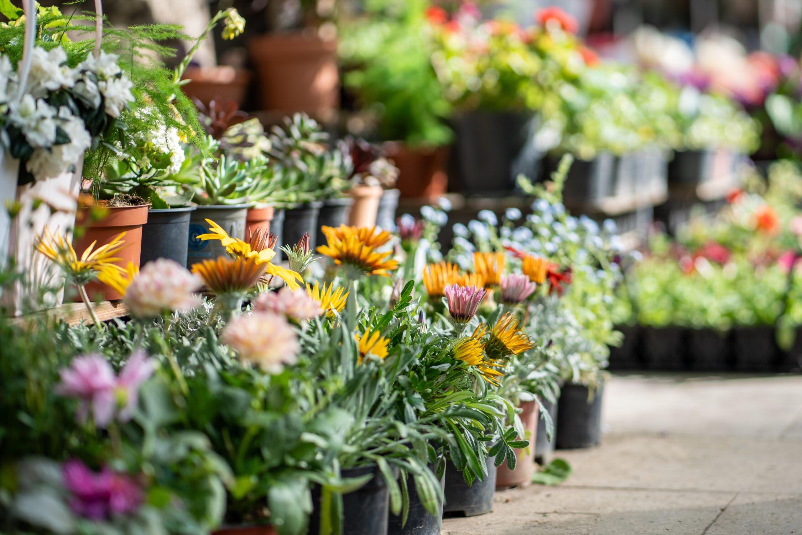 Marché aux Fleurs, brocante et marché des Créateurs Artisans