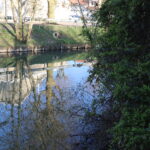 Balade guidée et contée au fil de l'eau