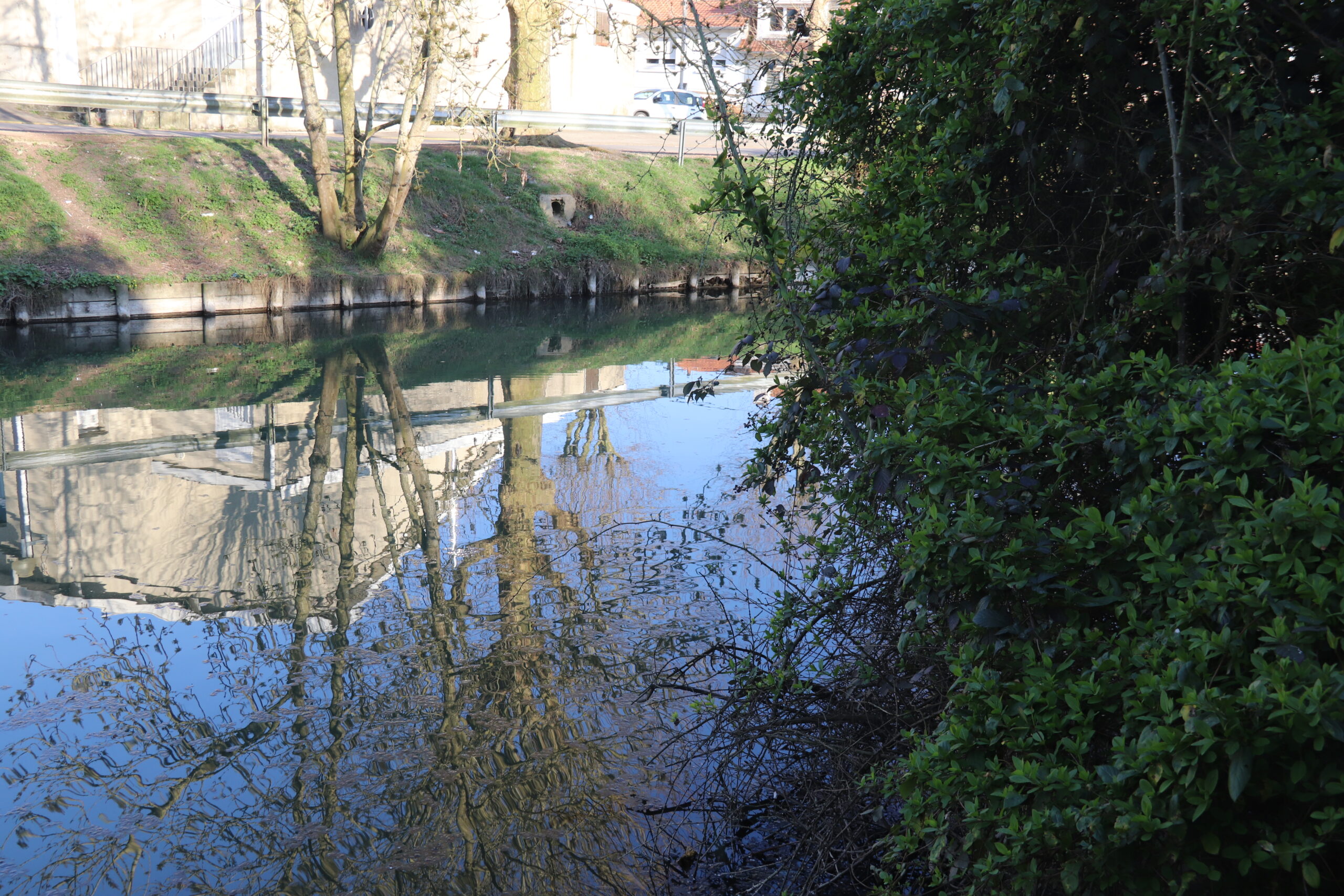 Balade guidée et contée au fil de l'eau